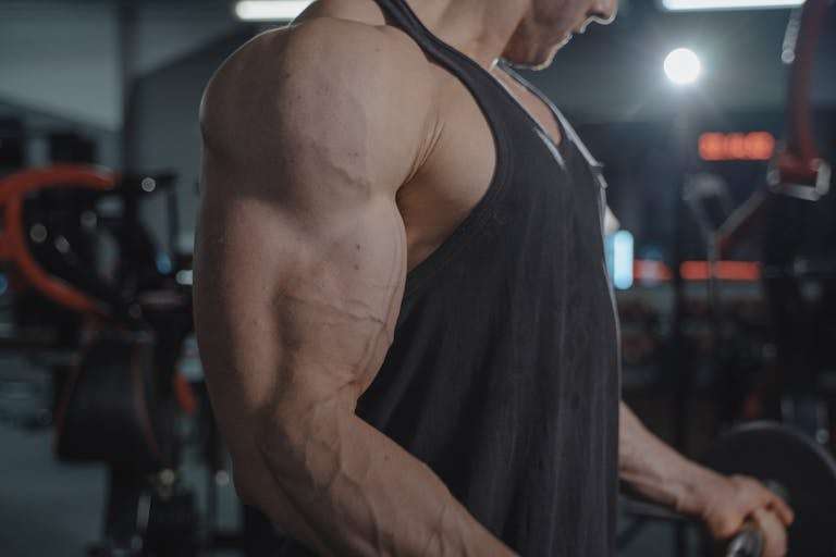 A detailed view of a muscular arm and veins in a gym environment, focusing on strength.